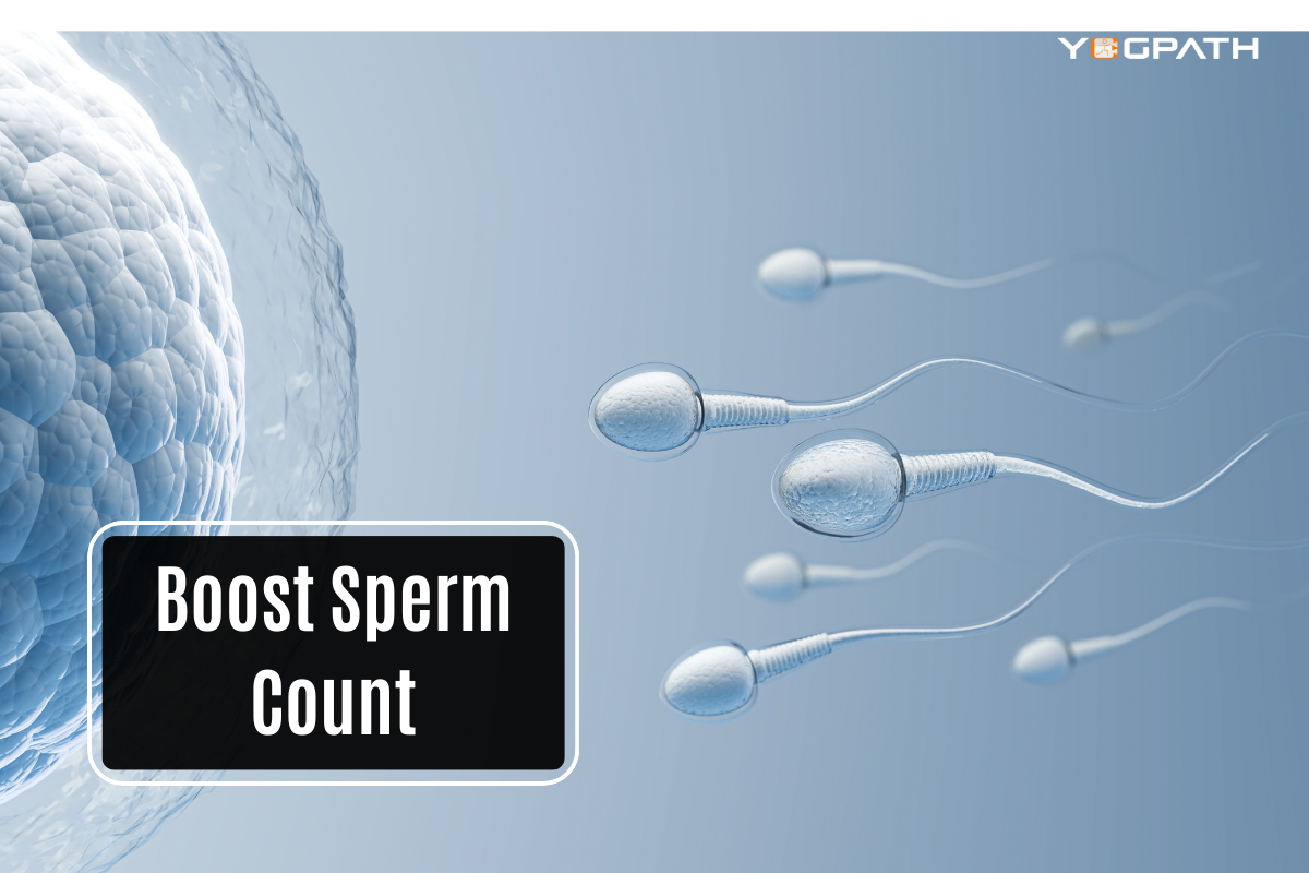 Boost Sperm Count