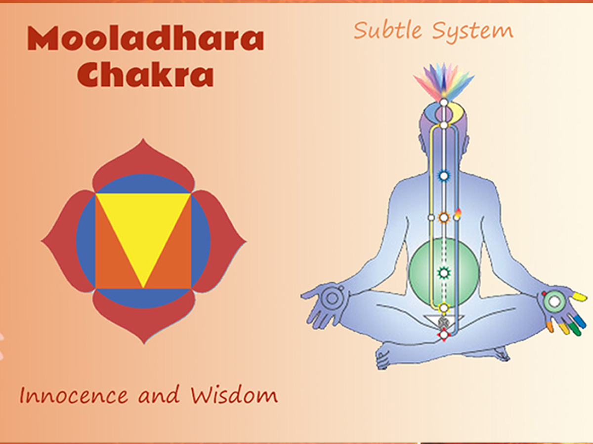 Muladhara or root chakra