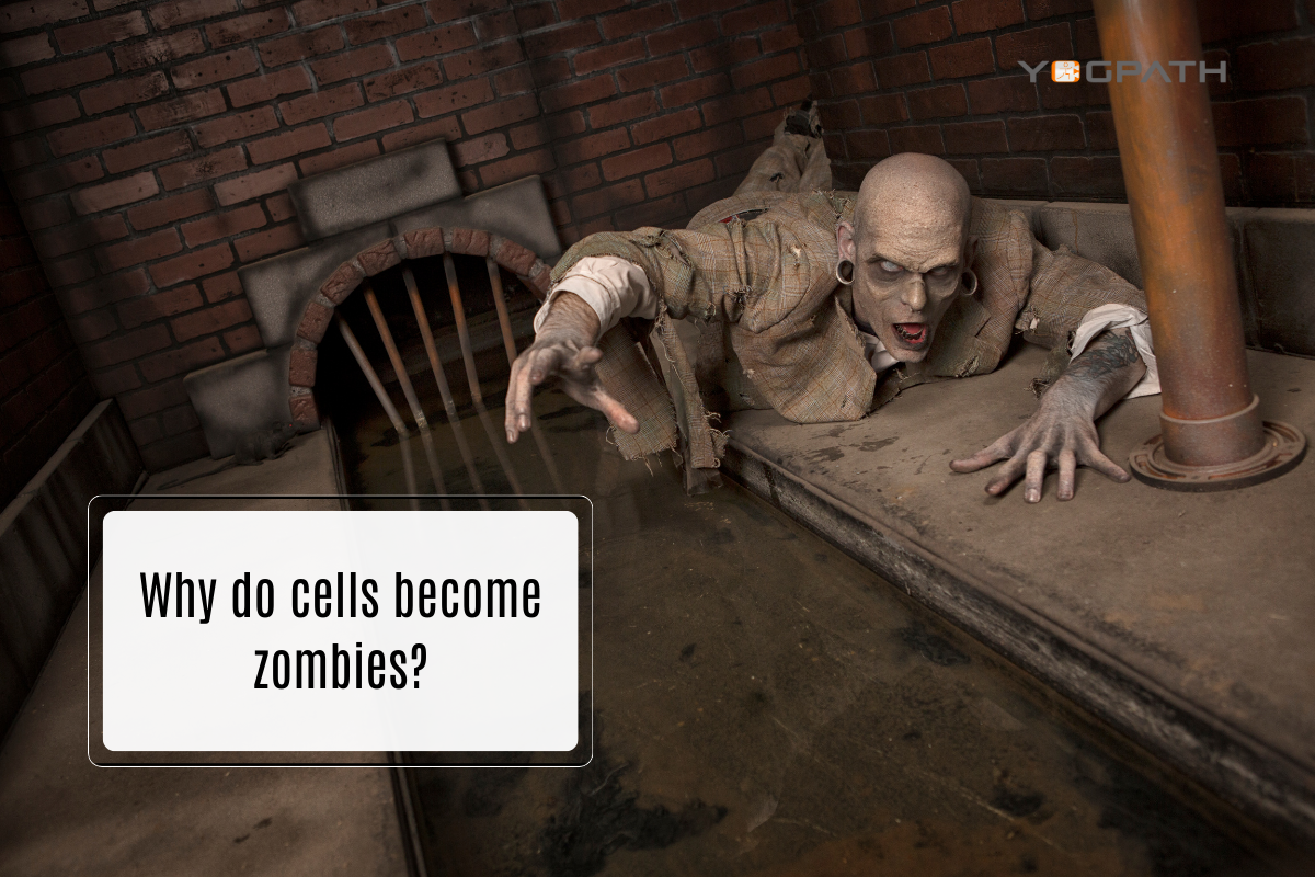 Why do cells become zombies?