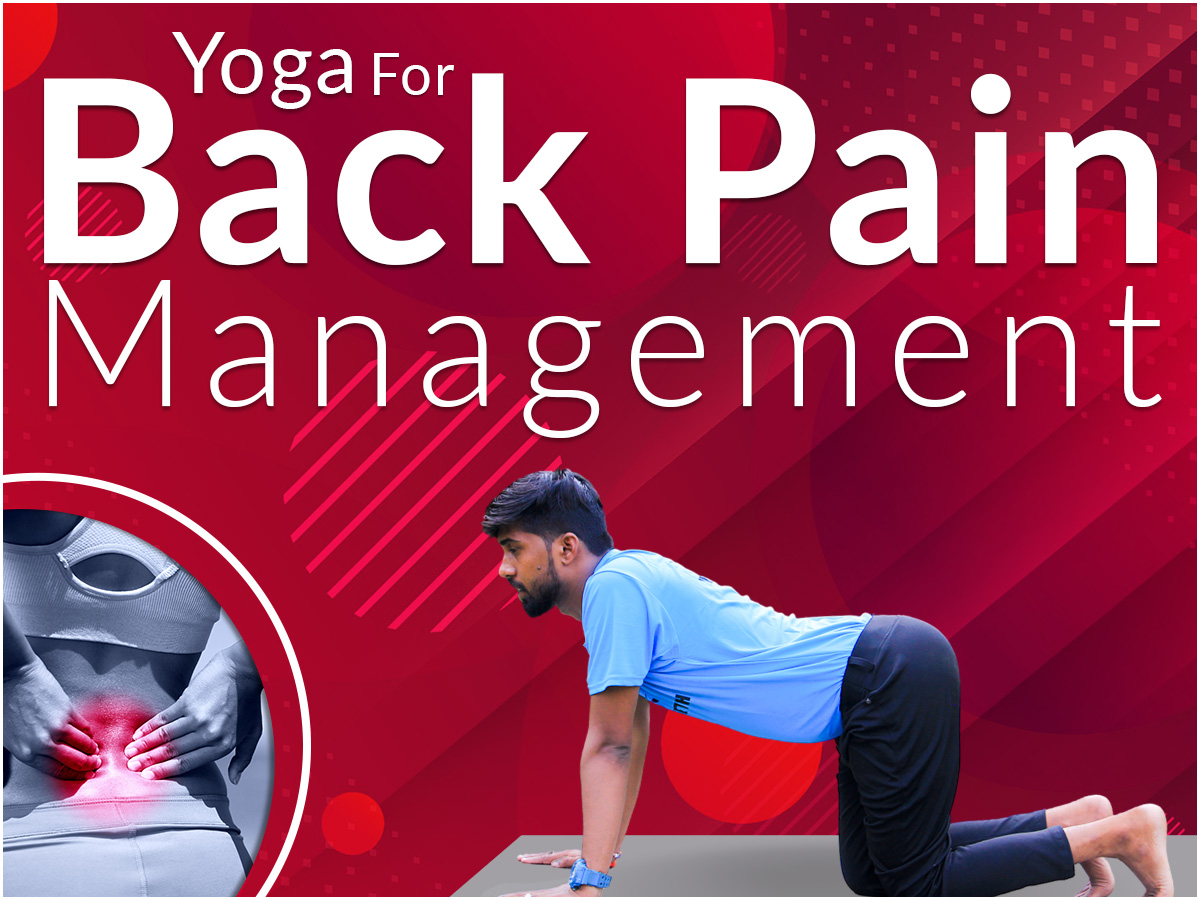 Yoga For Back Pain Management